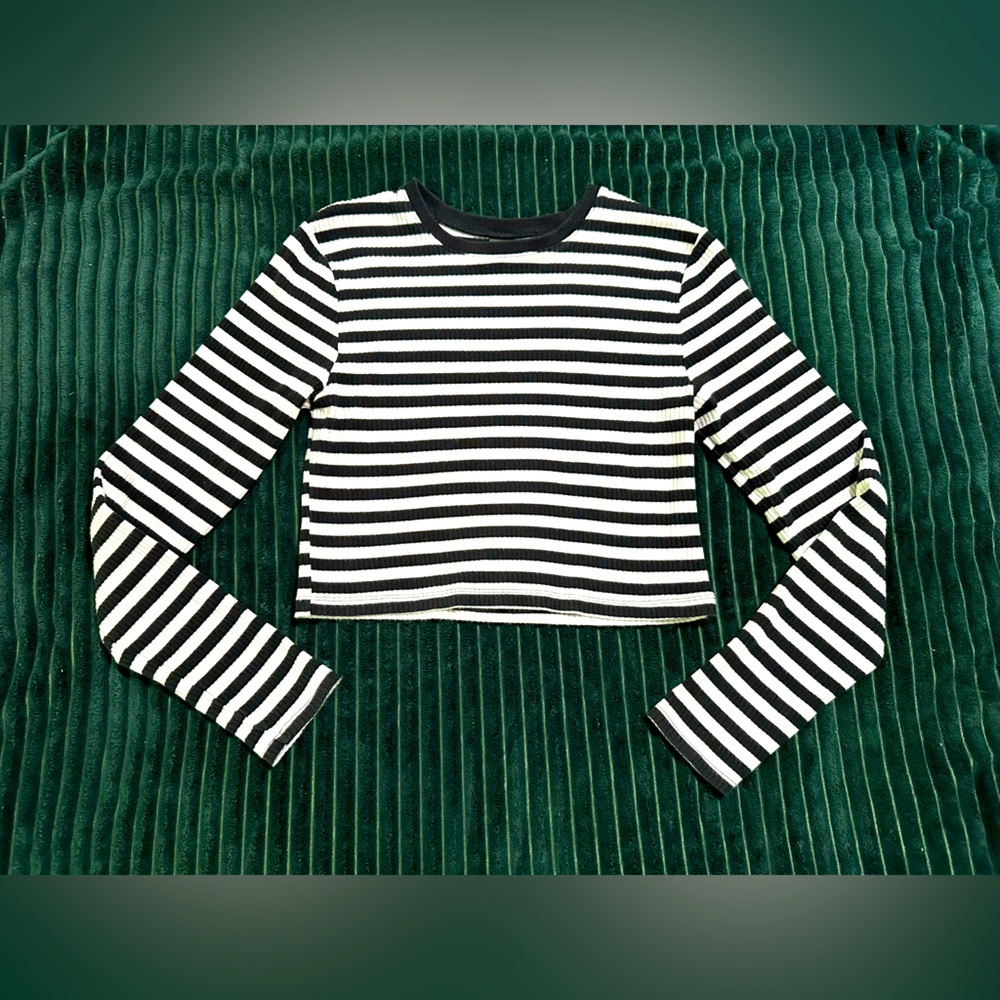 Wilde fable Crop Top